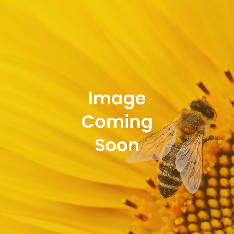 Bee Escape 10 frame